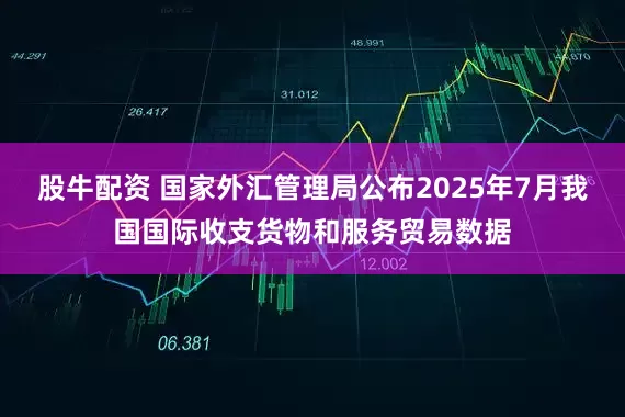 股牛配资 国家外汇管理局公布2025年7月我国国际收支货物和服务贸易数据